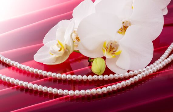 神奈川で墓じまいをし樹木葬に改葬を検討されているなら地域密着型の会社へ